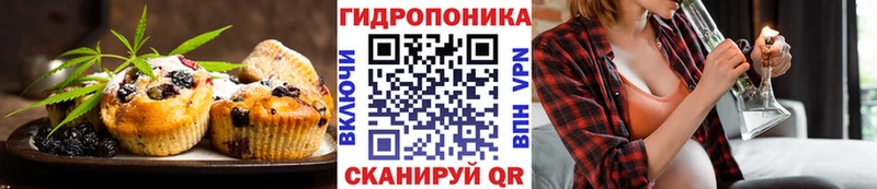 наркошоп  Далматово  Canna-Cookies конопля 