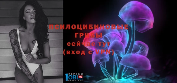 дживик Алзамай