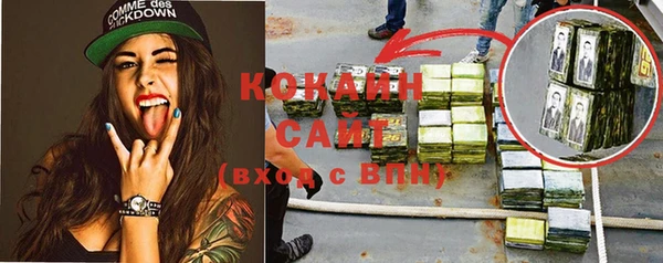 крисы Кодинск