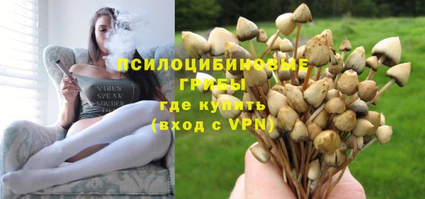 бутират Алексин