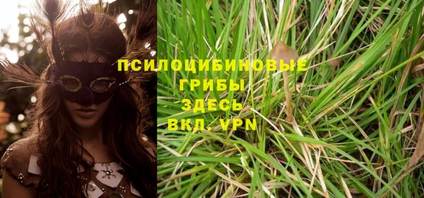 дживик Алзамай