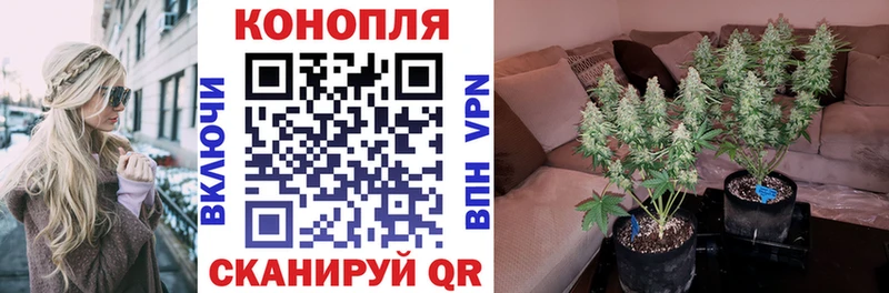 Бошки марихуана индика Далматово
